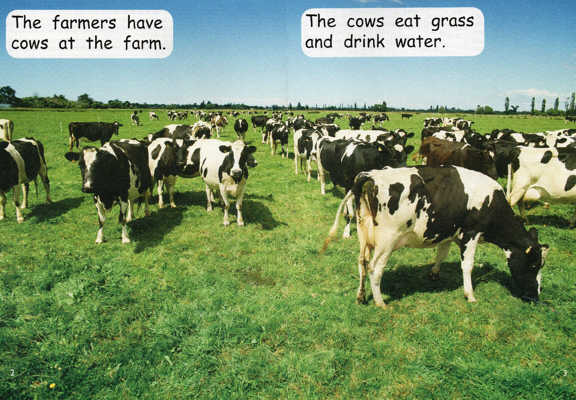 making milk绘本故事第3页