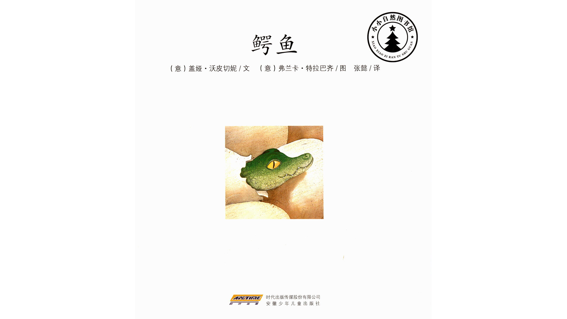 鳄鱼绘本故事第2页