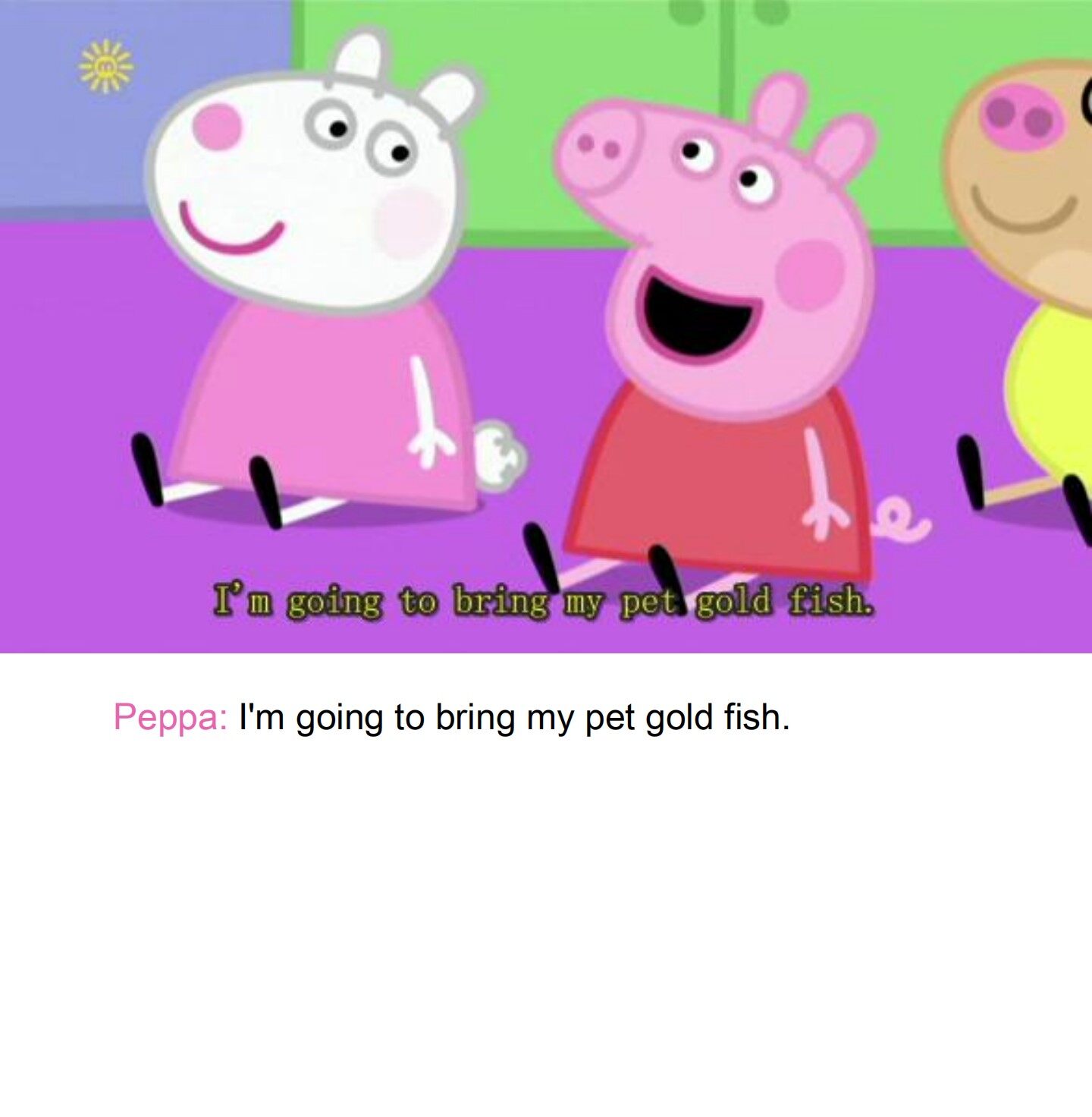 The Pet Competition绘本故事第4页