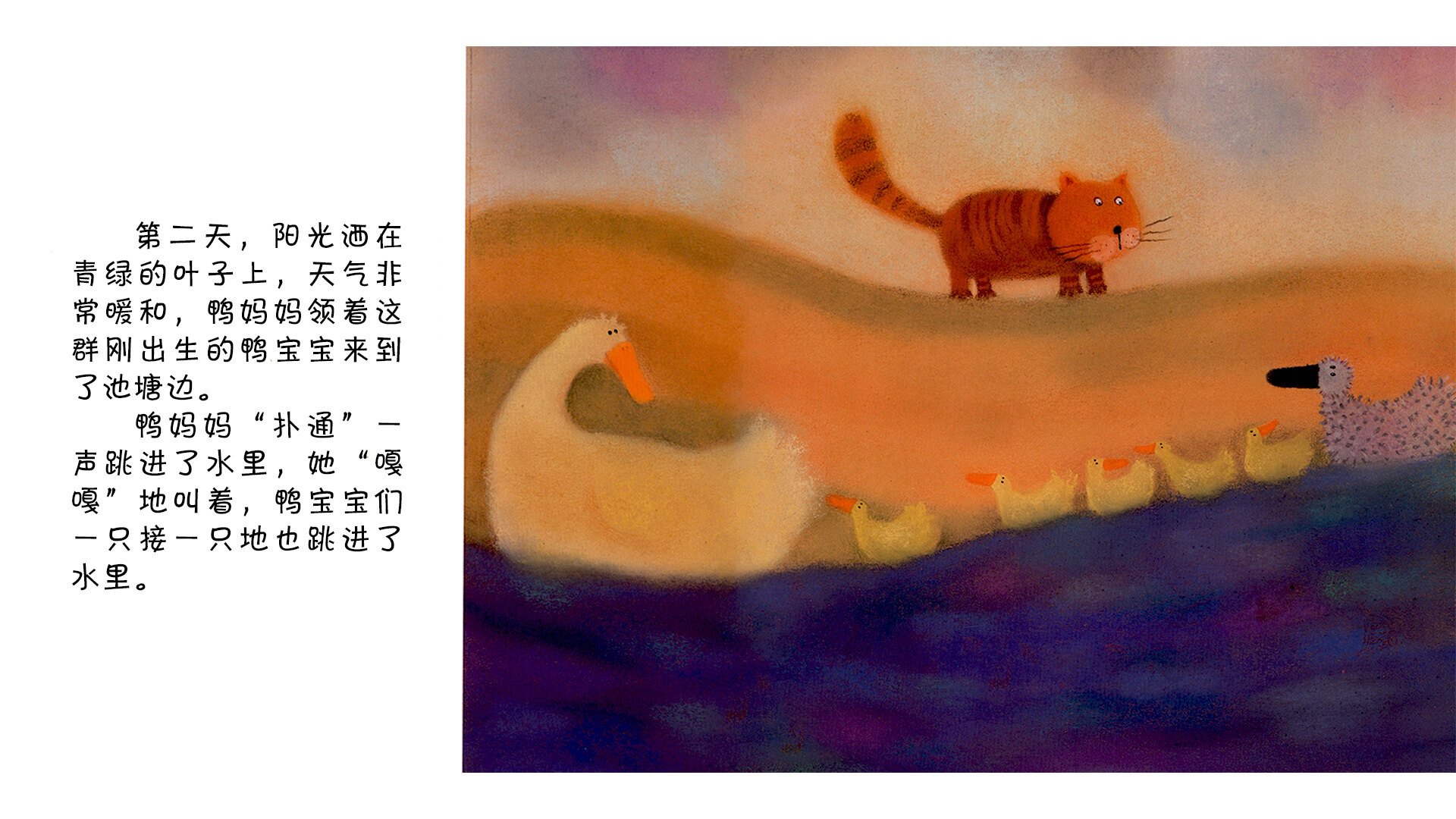 丑小鸭 绘本故事第5页