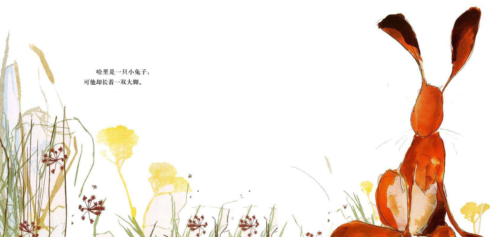 哈里的大脚绘本故事第2页