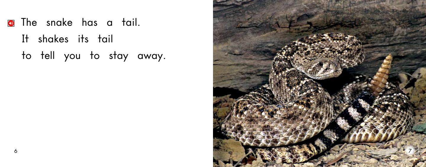 Tails绘本故事第5页