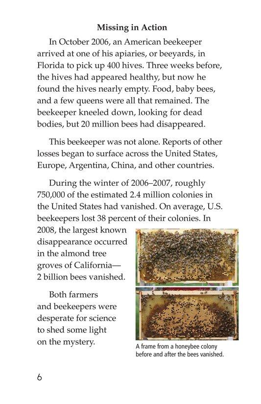The Case of the Disappearing Honeybees绘本故事第5页