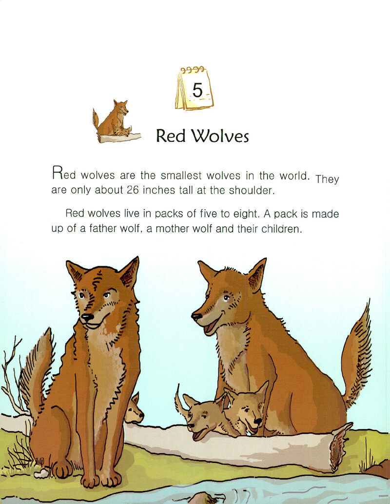 Red Wolves绘本故事第2页