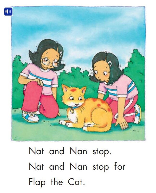 A Home for Flap the Cat绘本故事第4页