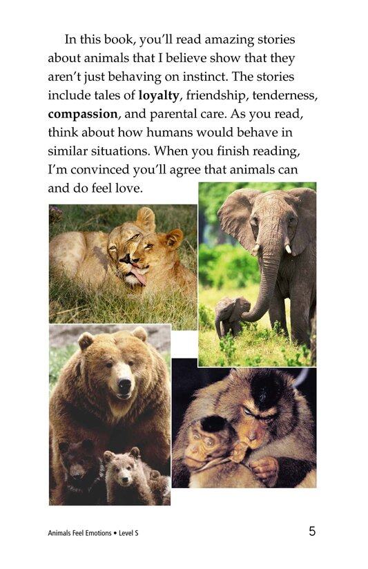 Animals Feel Emotions绘本故事第4页