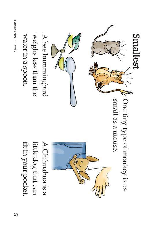 Extreme Animals绘本故事第5页