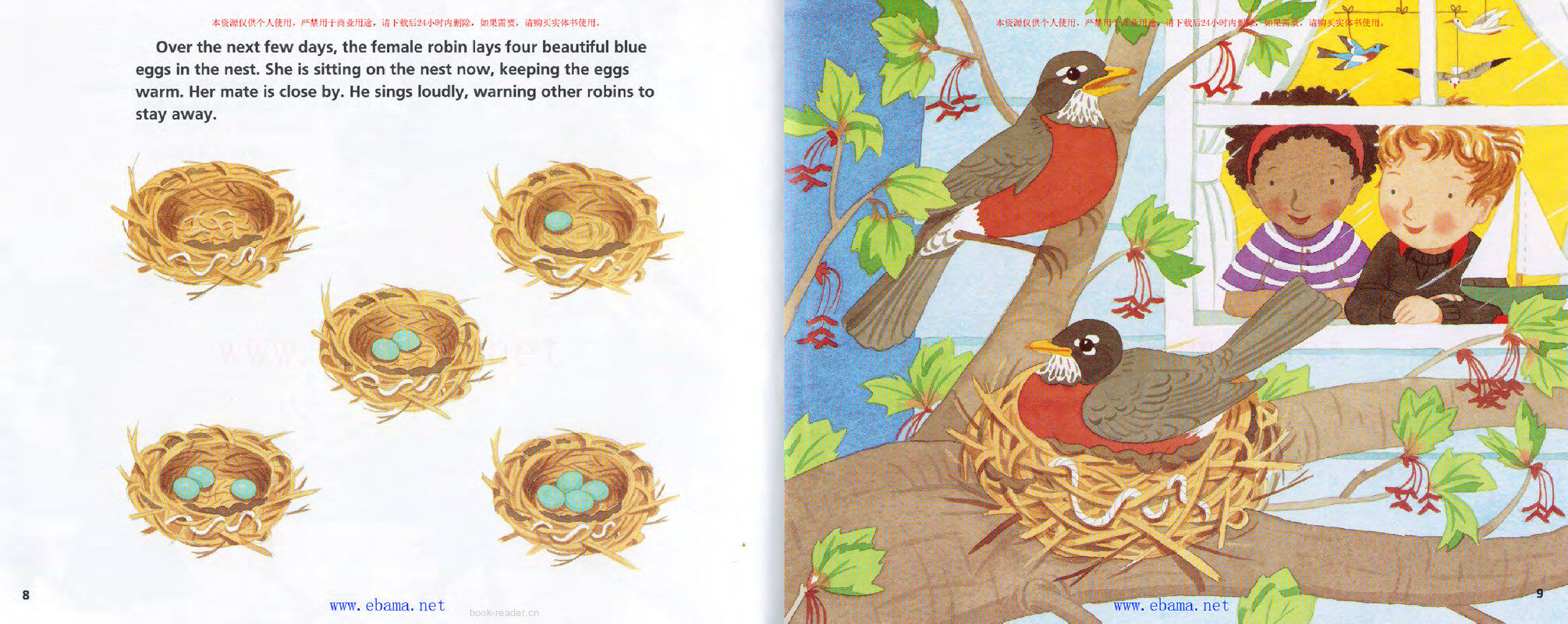 A Nest Full of Eggs绘本故事第5页