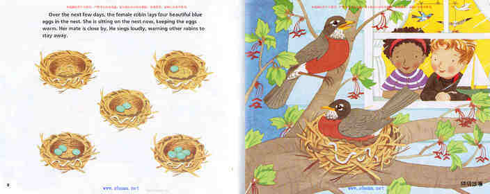 A Nest Full of Eggs绘本故事第5页
