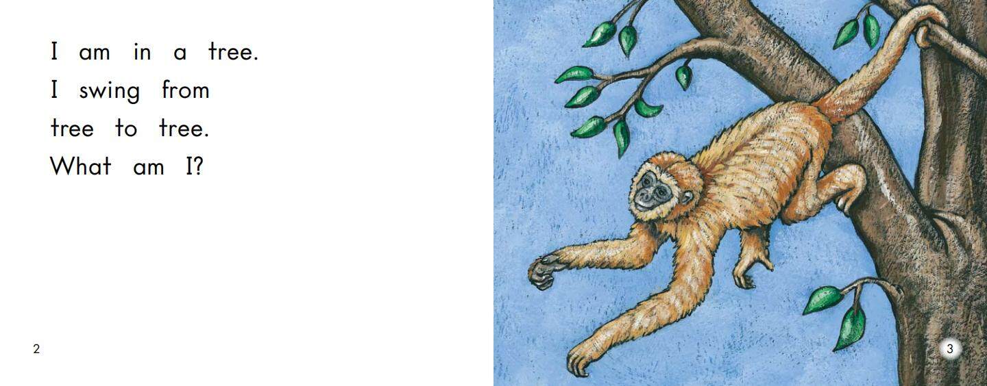 What am I绘本故事第3页