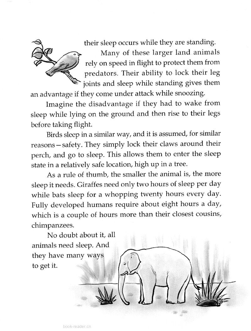 The Many Ways of Sleeping绘本故事第3页