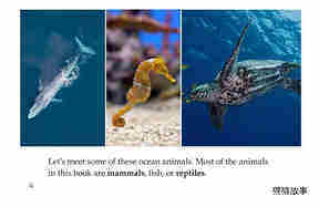 Ocean Animals绘本故事第4页