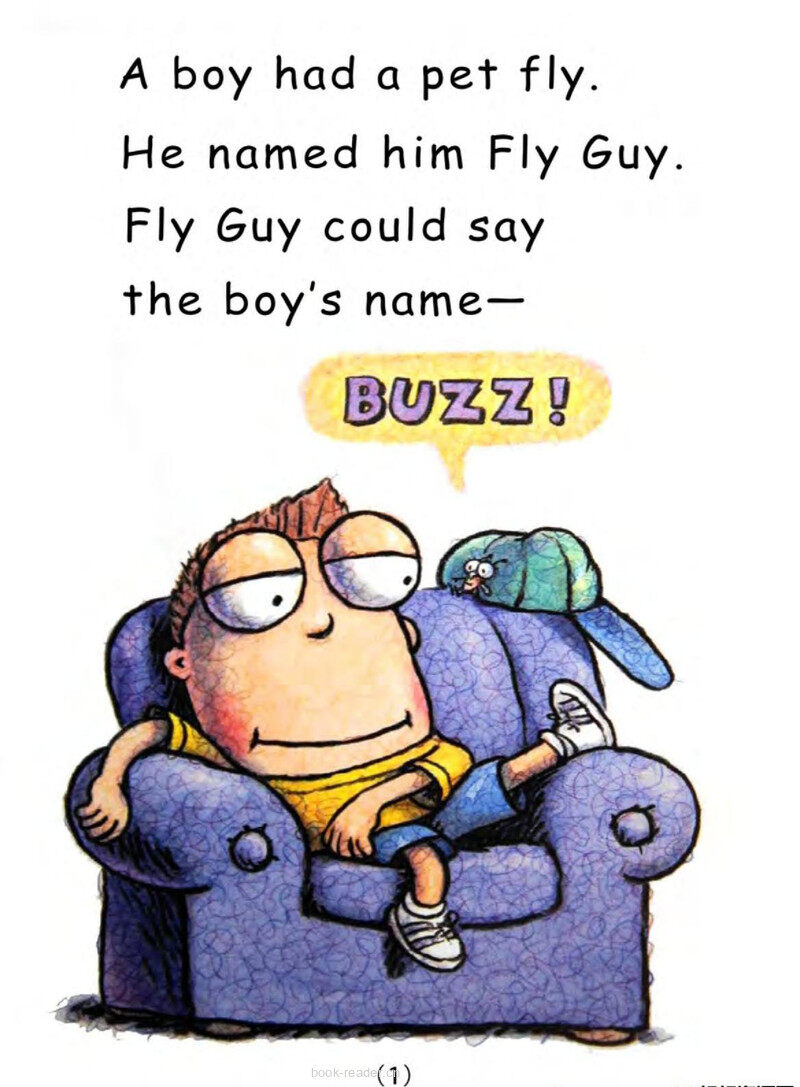 Fly Guy Meets Fly Girl 绘本故事第3页