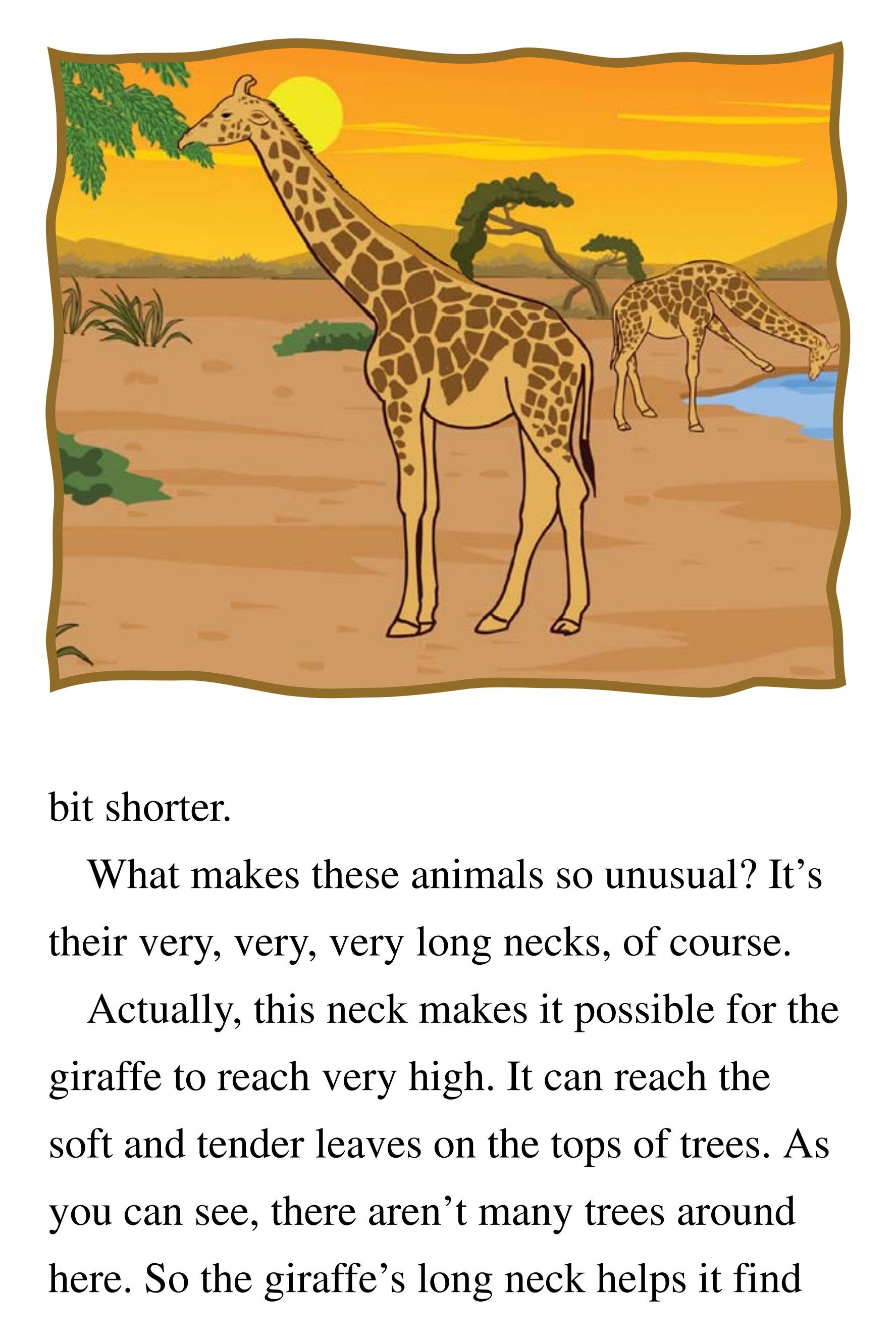 The Tallest Animal in the World绘本故事第4页