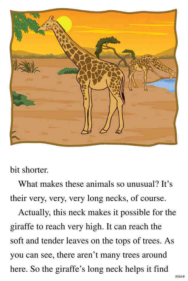 The Tallest Animal in the World绘本故事第4页