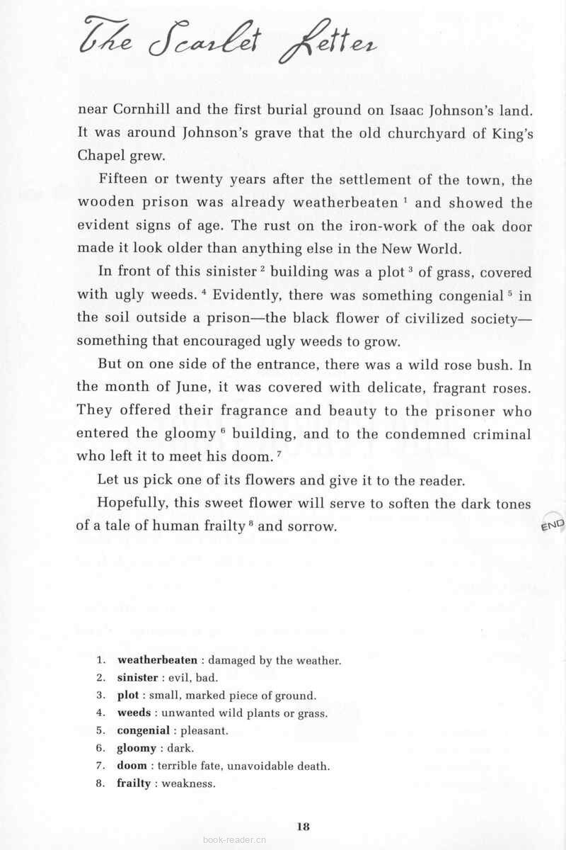 The Scarlet Letter绘本故事第4页