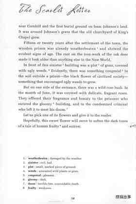 The Scarlet Letter绘本故事第4页