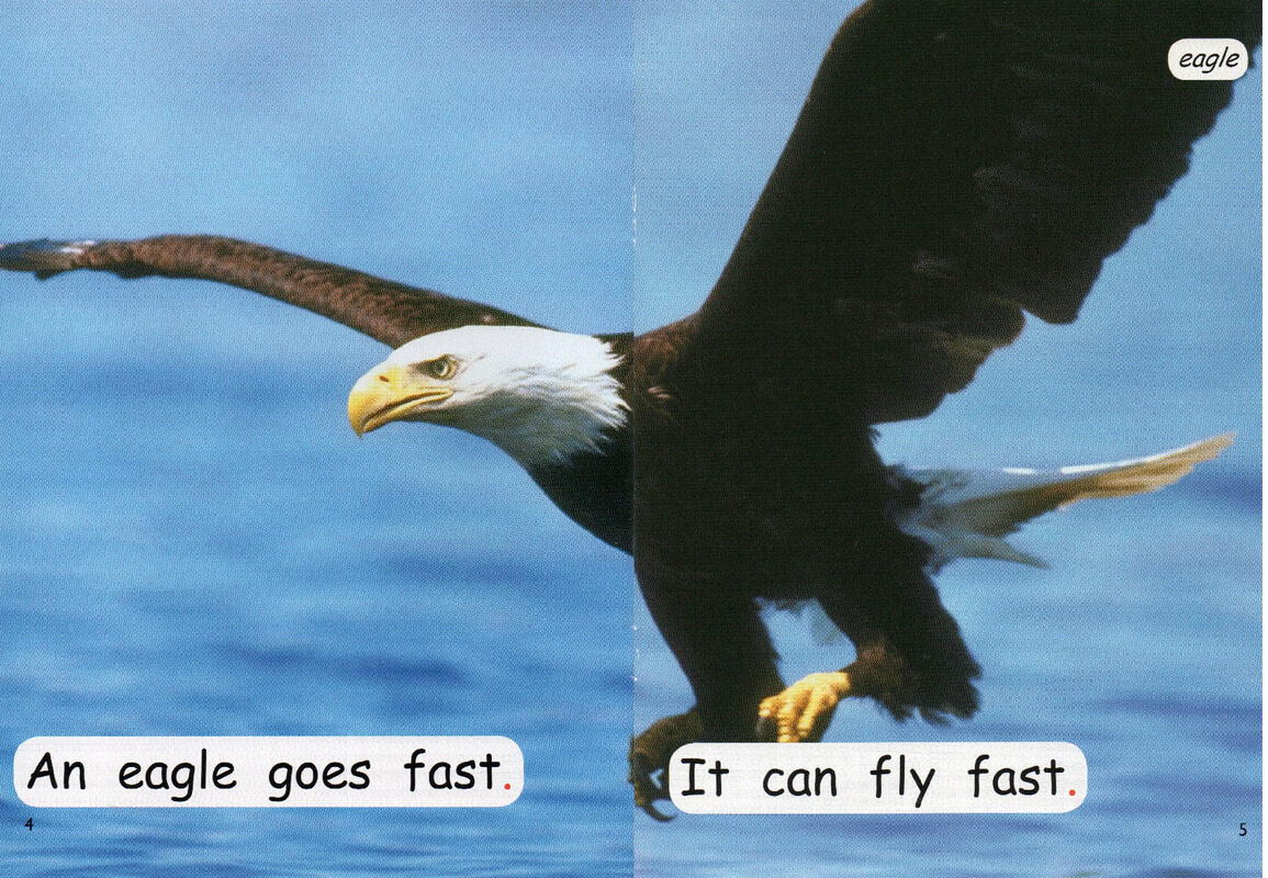 what goes fast绘本故事第4页