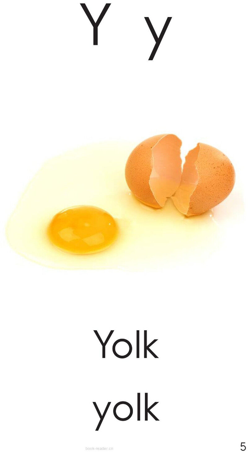 Letter Y绘本故事第5页