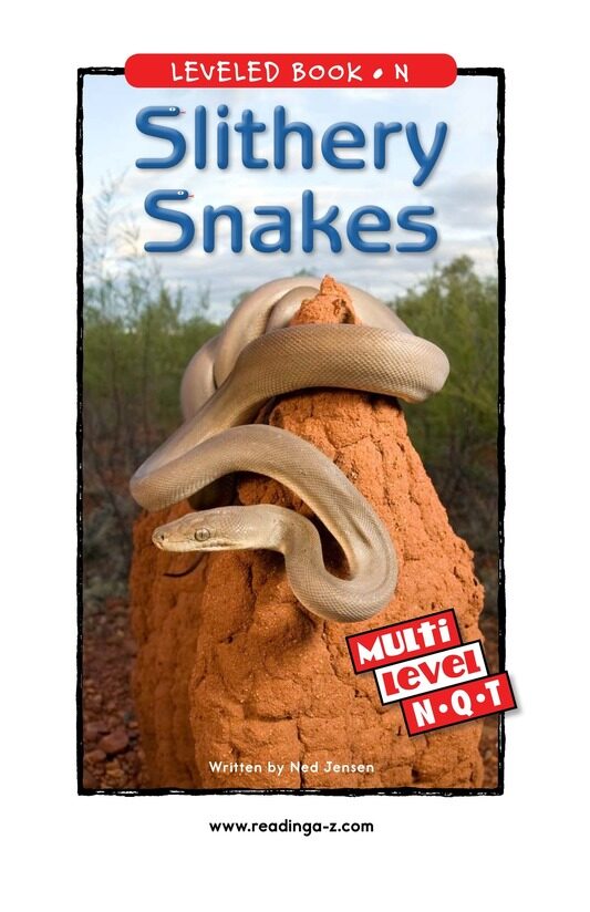 Slithery Snakes绘本故事第2页