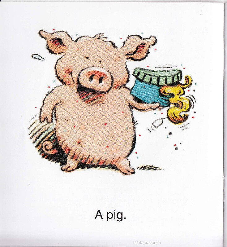 Pig Jigs绘本故事第3页