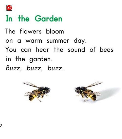 All About Honeybees绘本故事第3页