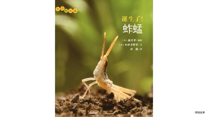 诞生了！蚱蜢绘本故事第2页