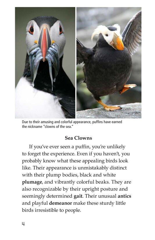 Puffins绘本故事第3页