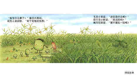 蚕豆大哥和长豆角绘本故事第4页