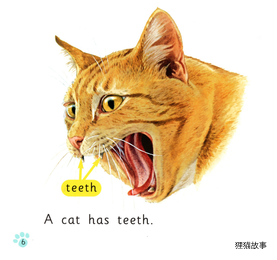 Cats绘本故事第5页