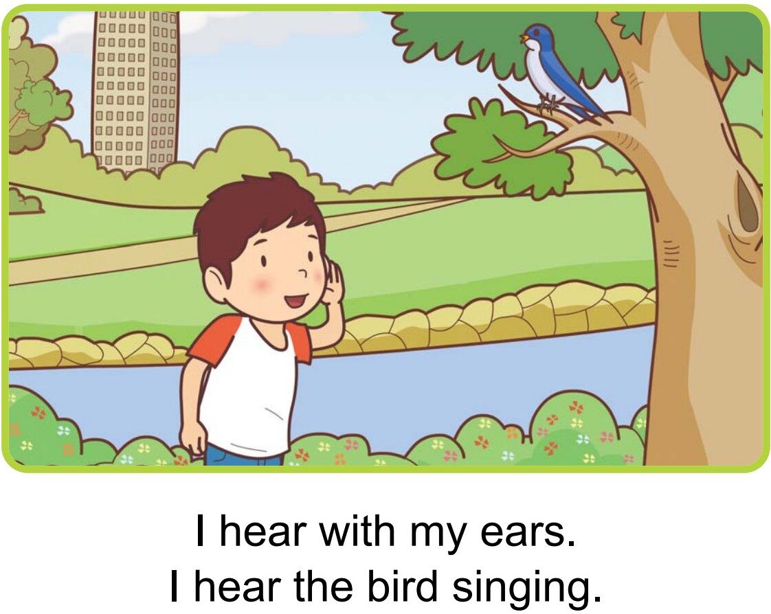 My Five Senses绘本故事第3页