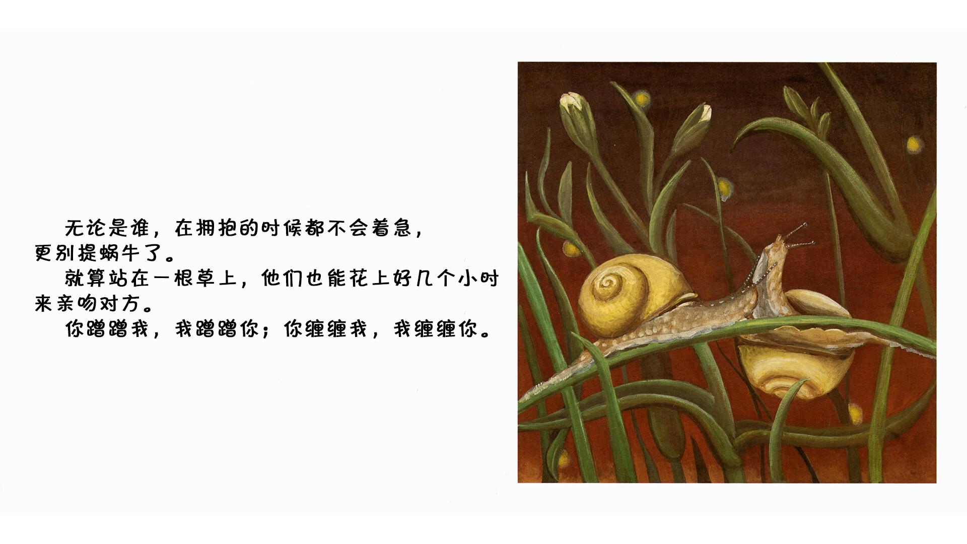 蜗牛绘本故事第5页