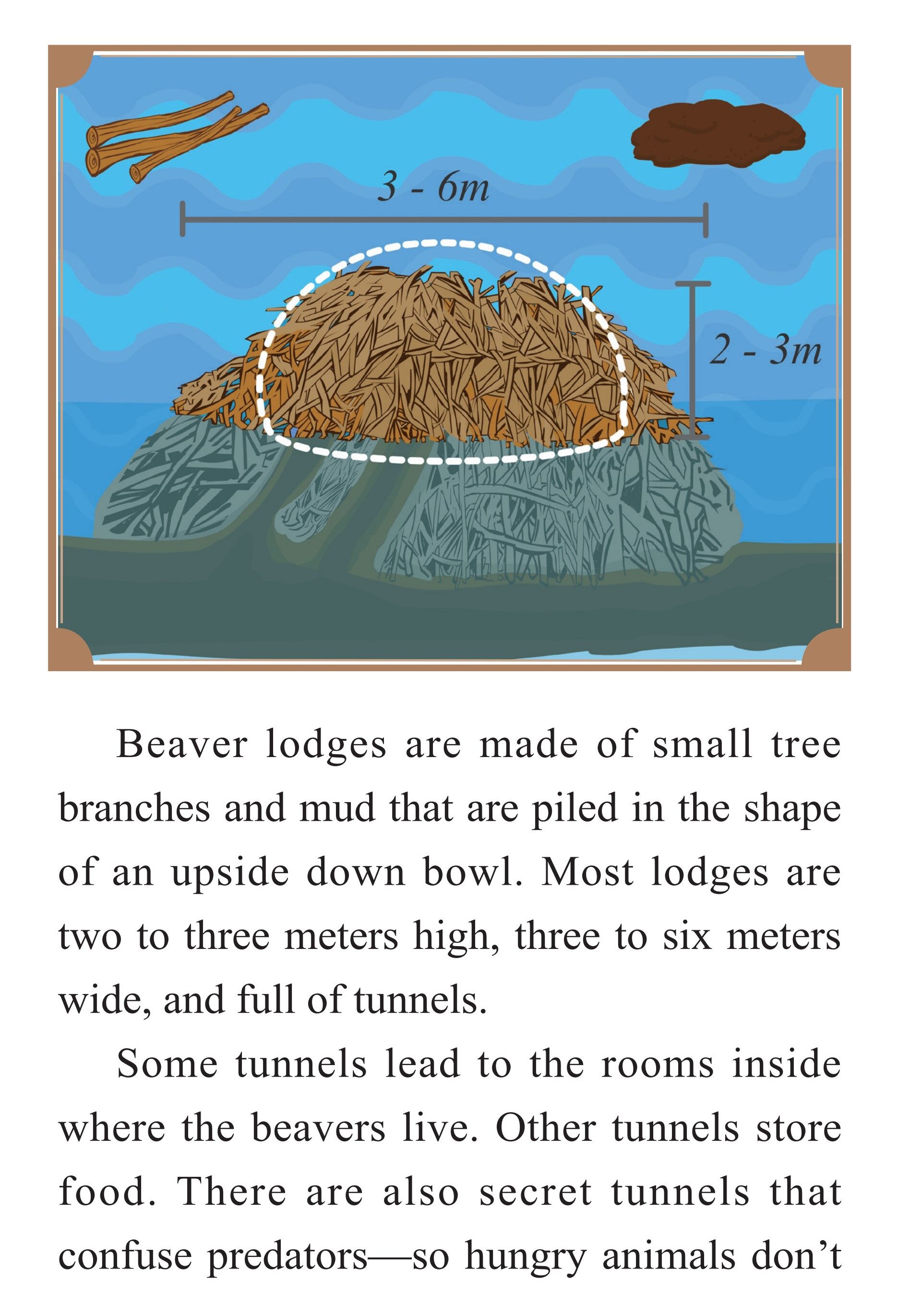The Carpenter Beaver绘本故事第5页