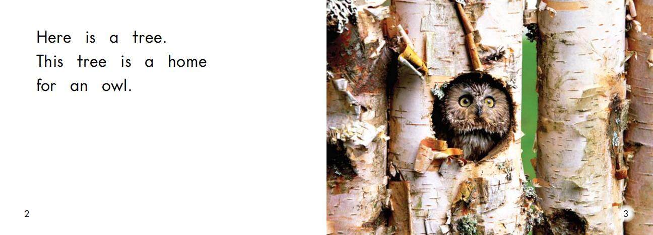 Homes绘本故事第3页