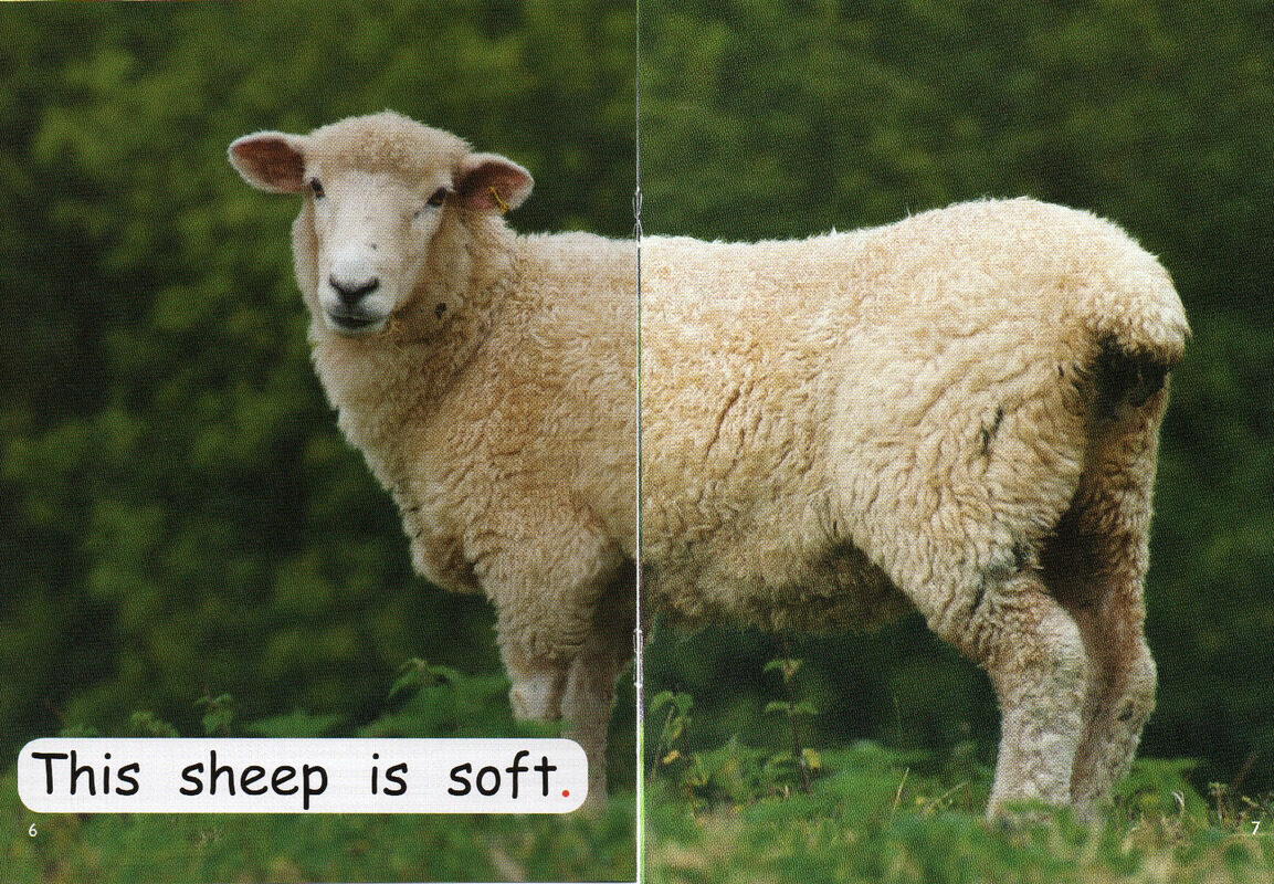 what is soft？绘本故事第5页