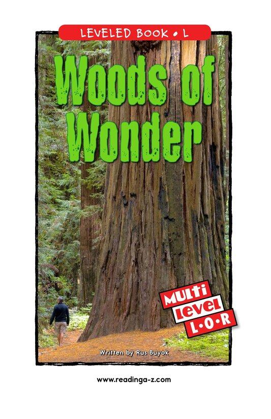 Woods of Wonder绘本故事第2页