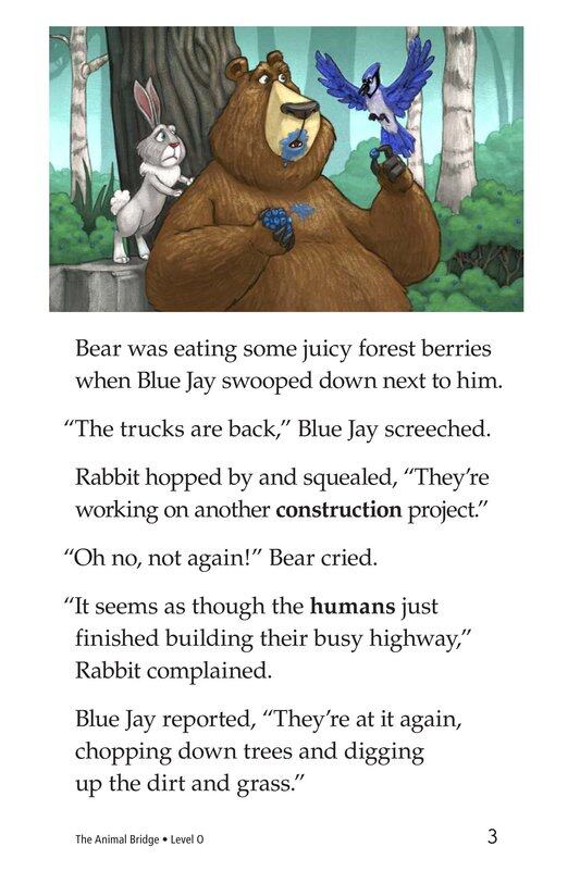 The Animal Bridge绘本故事第3页