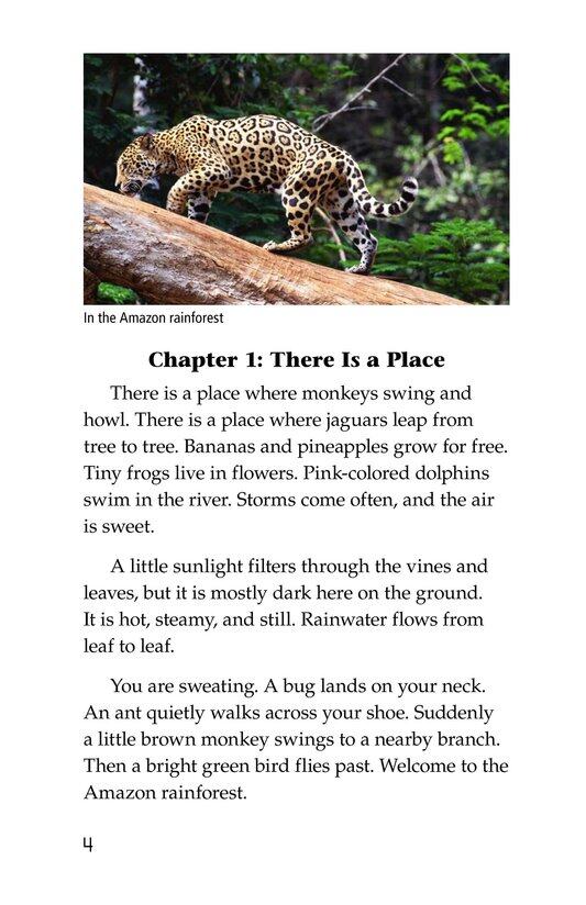 The Amazing Amazon绘本故事第3页