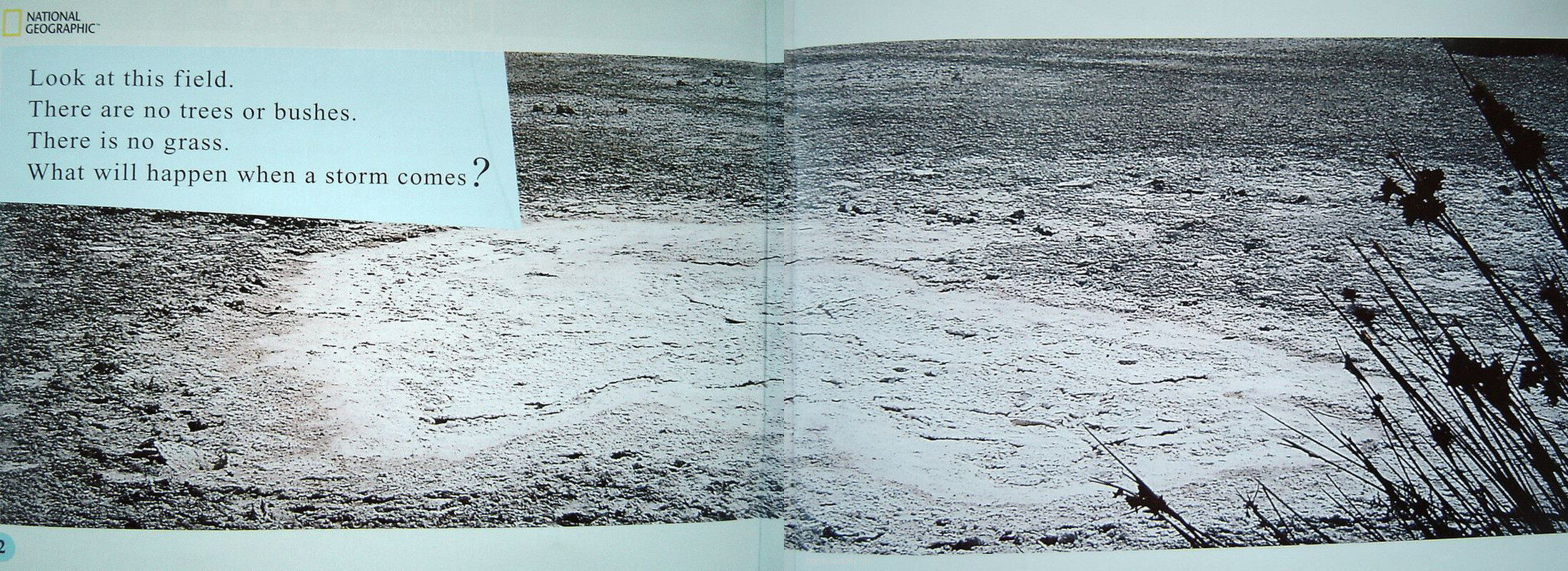 when a storm comes绘本故事第3页