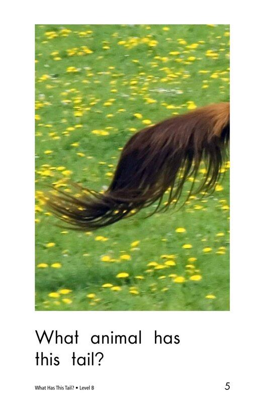 What Has This Tail绘本故事第5页