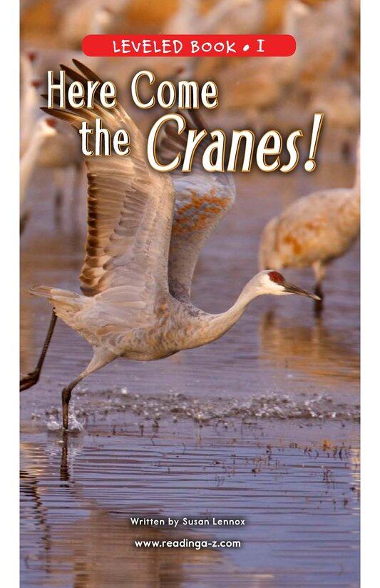 Here Come the Cranes!绘本故事第2页