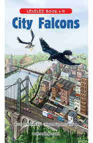 City Falcons