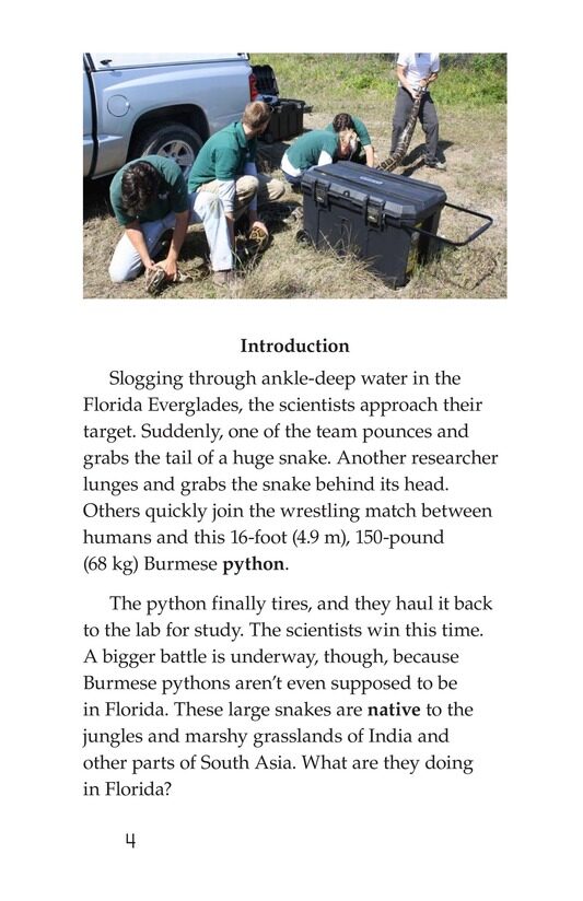 Invasion of the Pythons绘本故事第3页