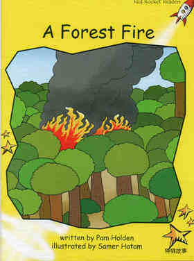 a forest fire