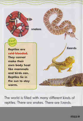 Really Cool Reptiles绘本故事第5页