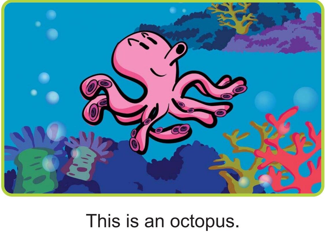 What Is in the Sea绘本故事第3页