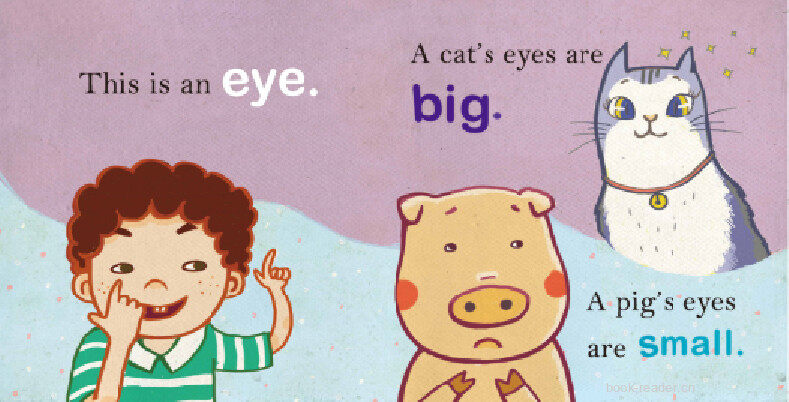 My body绘本故事第3页