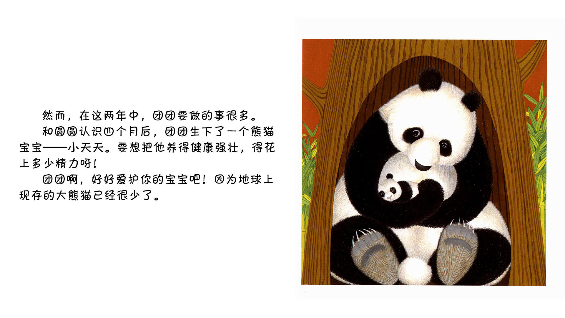 熊猫绘本故事第5页