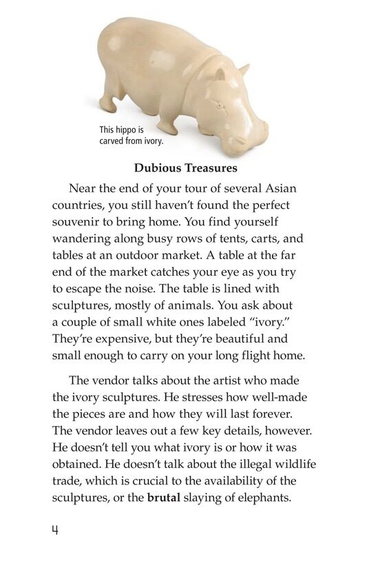 Ivory or Elephants绘本故事第3页