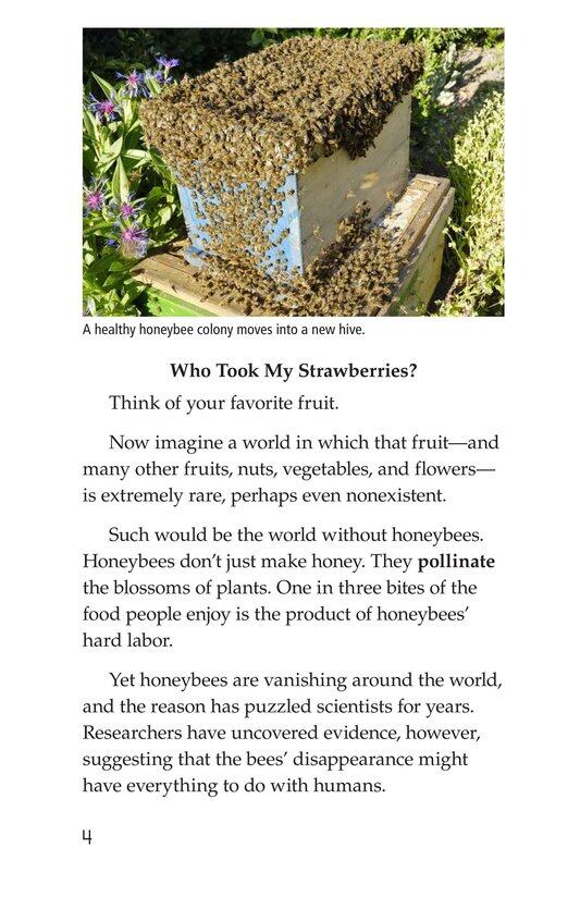 The Case of the Disappearing Honeybees绘本故事第3页